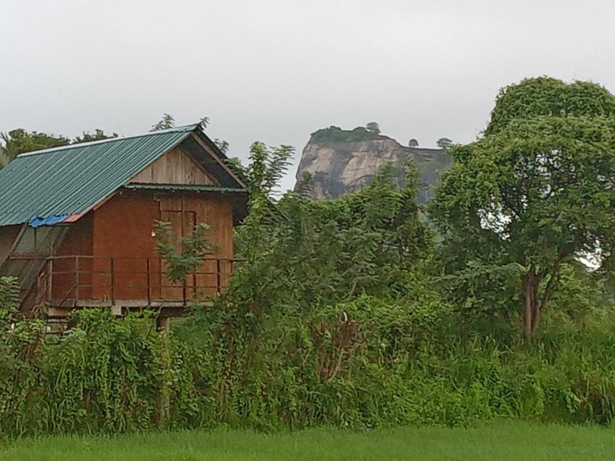 Sigiriya Paddy Field Hut Villa Exterior foto